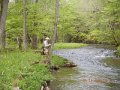 camp 05-17-13 041